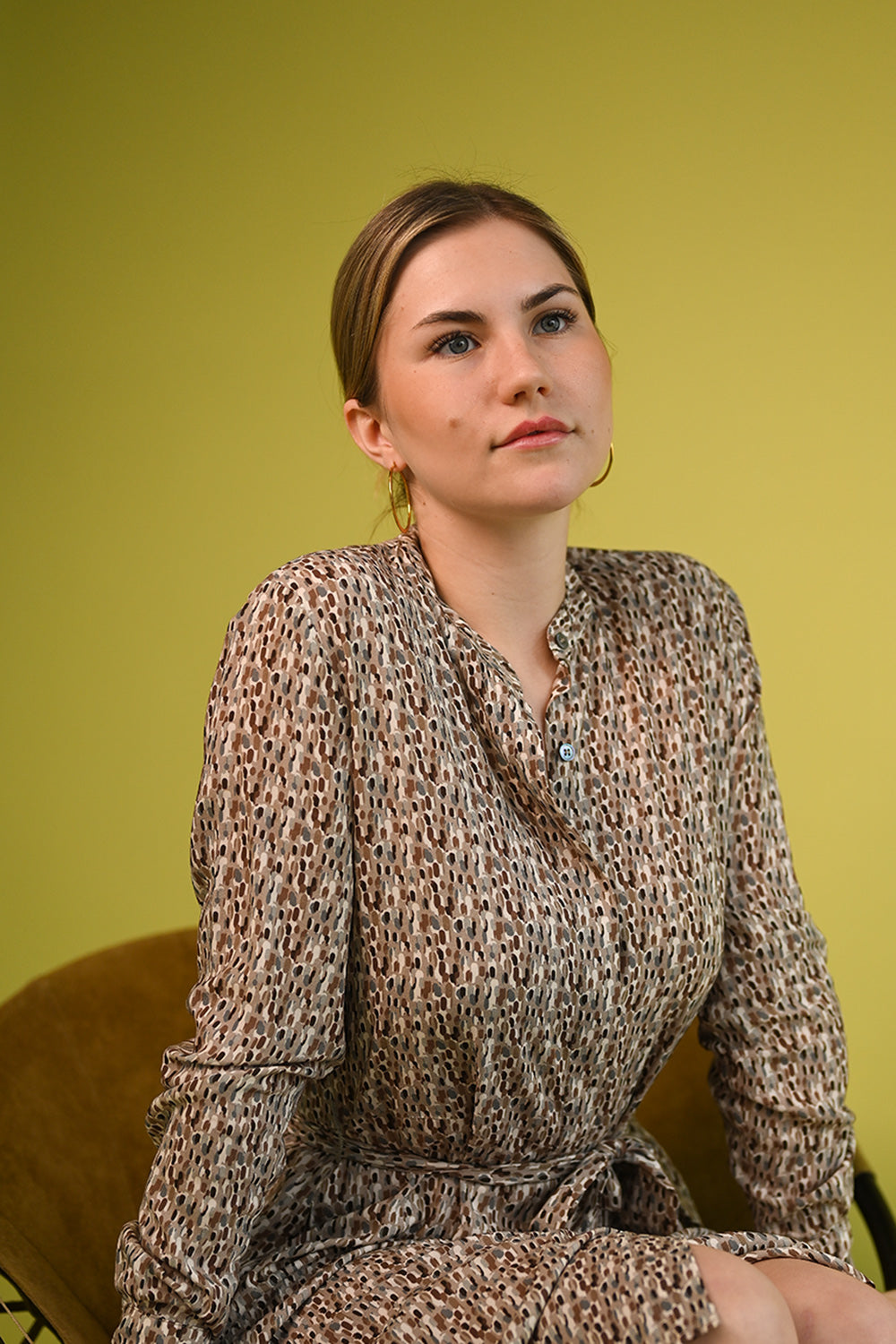 Aura 1043 Dress - earth